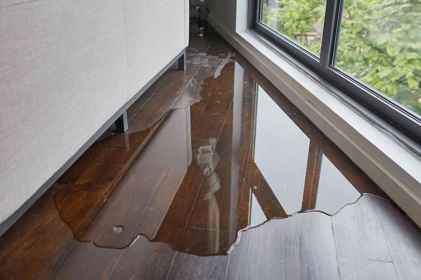 Water pooled on a hardwood floor by a window — moisture control assessment